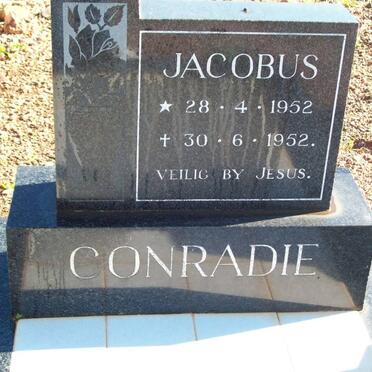 CONRADIE Jacobus 1952-1952