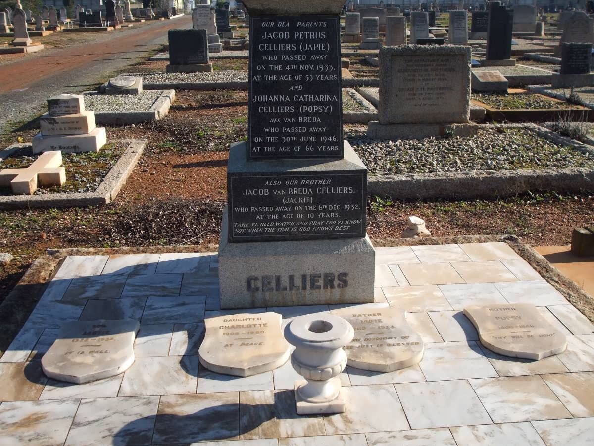 CELLIERS :: VAN BREDA