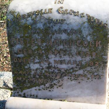 HITCHCOCK Pieter 1920-1925