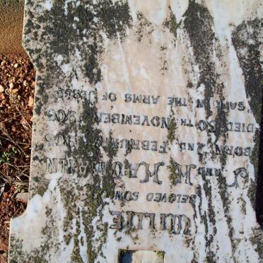 HAUMANN Willie 1903-1903