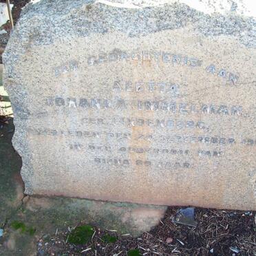 I - Surnames :: Vanne - I