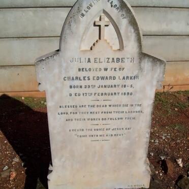 LARKIN Julia Elizabeth 1865-1890
