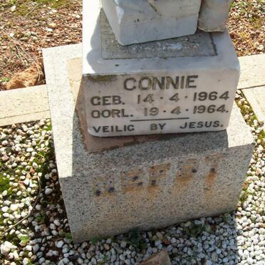 NEFDT Connie 1964-1964