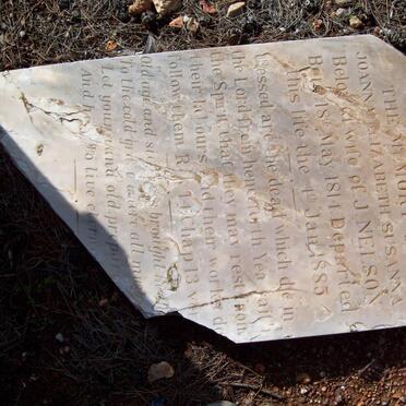 NELSON Johanna Elizabeth Susanna 1814-1885