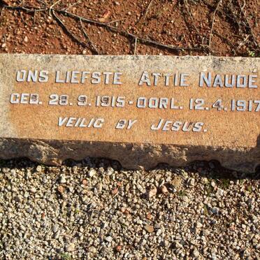 NAUDE Attie 1915-1917
