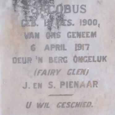 PIENAAR Jacobus 1900-1917