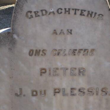 PLESSIS Pieter J., du