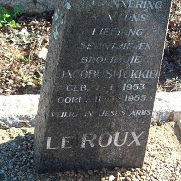 ROUX Jacobus, le 1953-1955