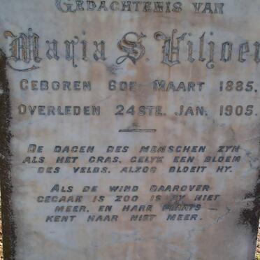 VILJOEN Maria S. 1885-1905