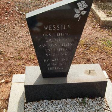 WESSELS Jacques 1973-1974