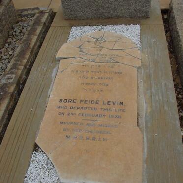 LEVIN Sore Feige -1938