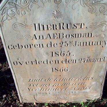 BOSMAN A.A.E. 1865-1866