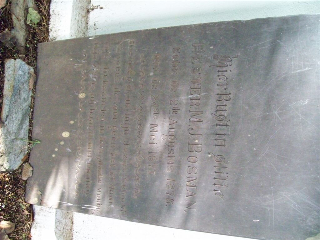 BOSMAN Hester M.J. 1876-1877