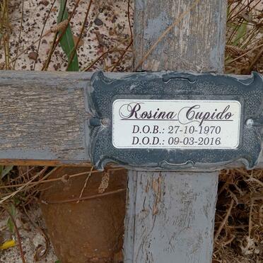 CUPIDO Rosina 1970-2016