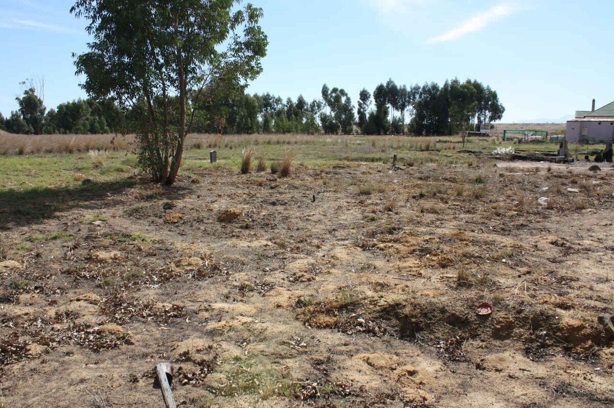 1. Overview of graves at the Old Hermon Cemetery
