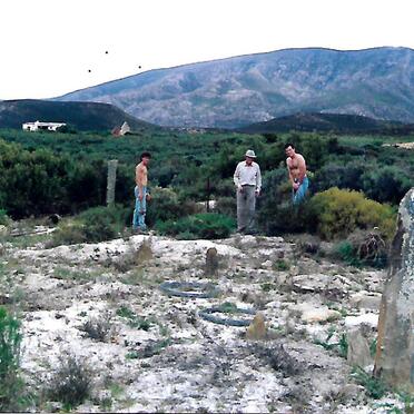 1. Oorsig WESSELS grafte Phizantefontein, Riversdal, 1988