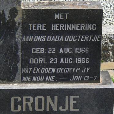 CRONJE Baby 1966-1966