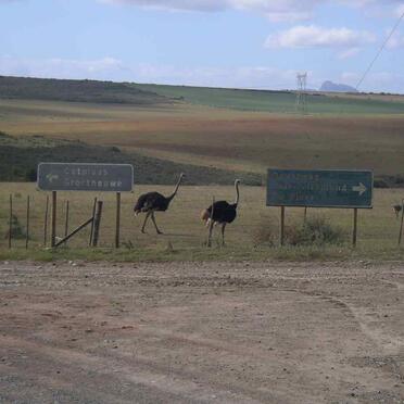 1. Pad aanwyser - ValsRivier, Albertinia