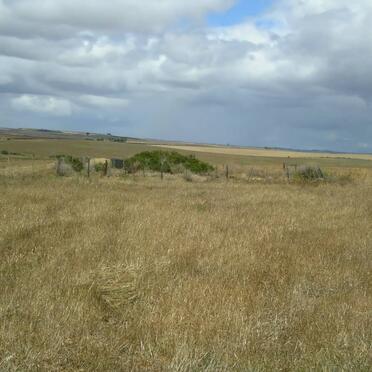 Western Cape, RIVERSDALE district, Albertinia, Groote Heuvel 328, Droërug farm cemetery