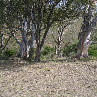 2. Overview of Cemetery