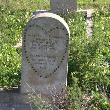 Western Cape, RIVERSDALE district, Brakke fontein 399_1, farm cemetery