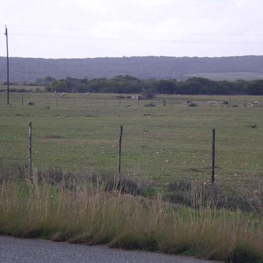 1. Cemetery view from the road 