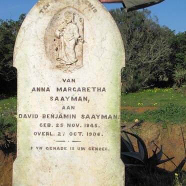 SAAYMAN David Benjamin 1845-1906