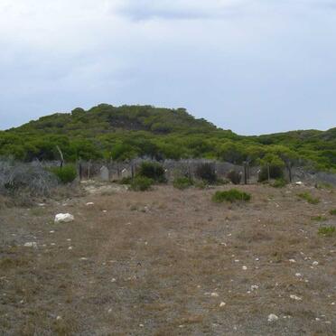 1. Overview
