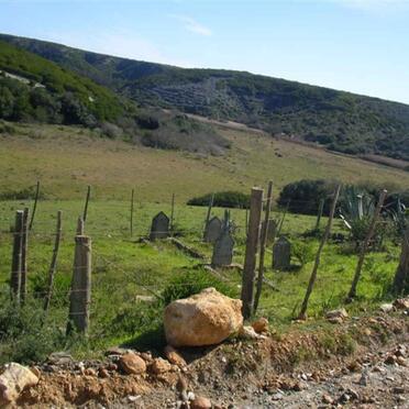 2. Begraafplaas Oorsig