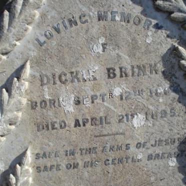 BRINK Dickie 1884-1895