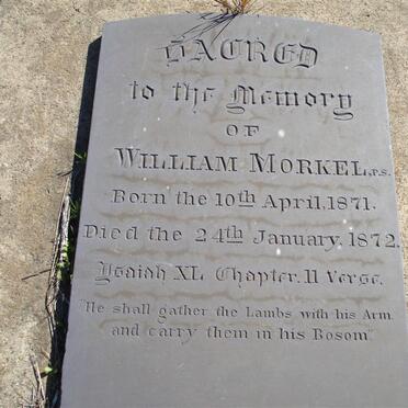 MORKEL William 1871-1872