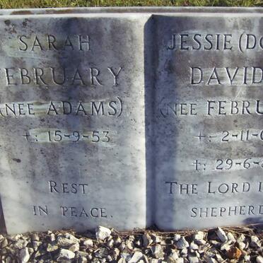 FEBRUARY Sarah nee ADAMS -1953 :: DAVIDSE Jessie nee FEBRUARY 1903-1980