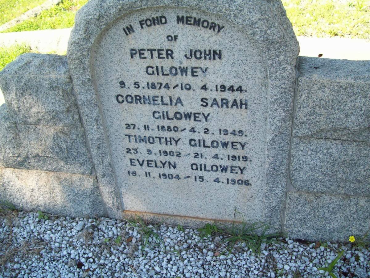 GILOWEY Peter John 1874-1944 &amp; Cornelia Sarah 1880-1949 :: GILOWEY Timothy 1902-1919 :: GILOWEY Evelyn 1904-1906
