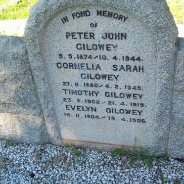 GILOWEY Peter John 1874-1944 &amp; Cornelia Sarah 1880-1949 :: GILOWEY Timothy 1902-1919 :: GILOWEY Evelyn 1904-1906