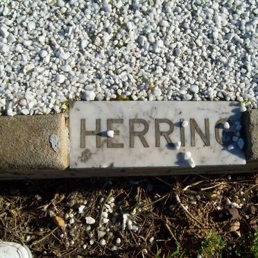 HERRING