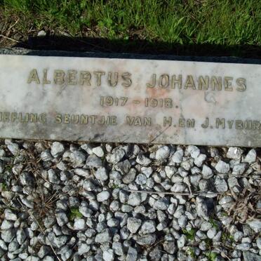 MYBURGH Albertus Johannes 1917-1918