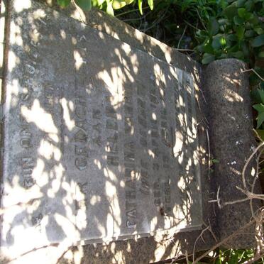 NIEKERK Helen Catharina, van  nee DE HART 1882-192?