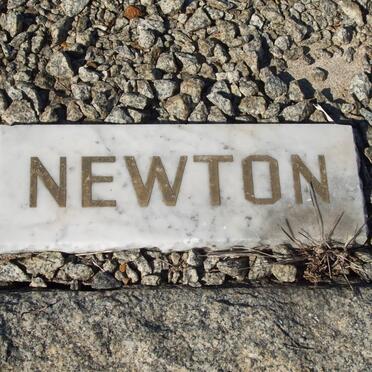 NEWTON