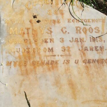 ROOS Mathys C. -1913