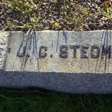 STEDMAN J.C.