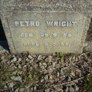 WRIGHT Petro 1954-1955