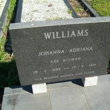 WILLIAMS Johanna Adriana nee BOSMAN 1899-1991