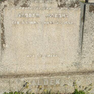 WALDEK Andrew Jacobus 1887-1952