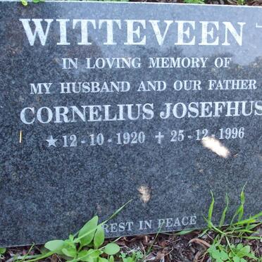 WITTEVEEN Cornelius Josefhus 1920-1996 :: WITTEVEEN Kees F.J. 1953-1975