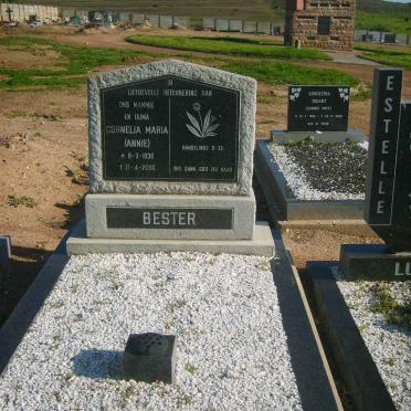 Western Cape, DARLING, Main cemetery