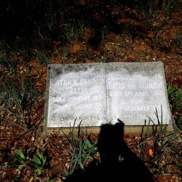 ELLIS Patrick Hendrik 1878-1964 & Jacoba Petronella O'BRIEN 1888-1961