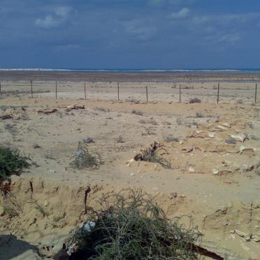 13. A picture of some of the actual trenches and defensive positions which still remain in the area