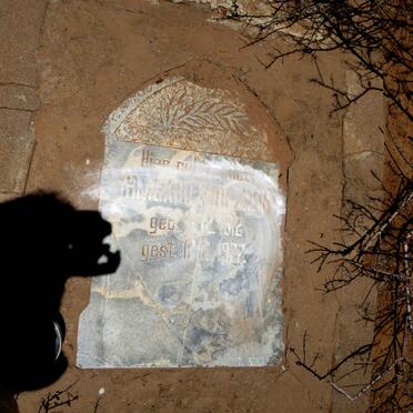 MOLZAHN Irmgard 1912-1927