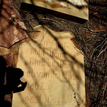 BRINK Maria Hendrina Christina nee VAN DER LINDEN 1868-1904