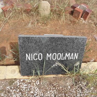MOOLMAN Nico